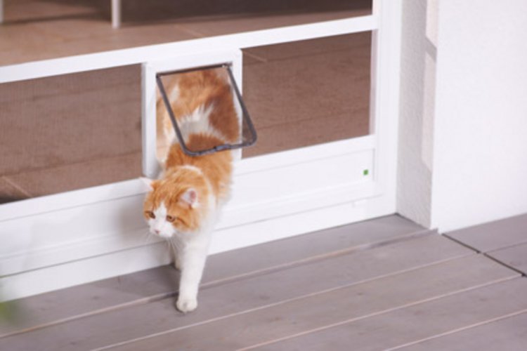 Katzentür aus Fliegengitter